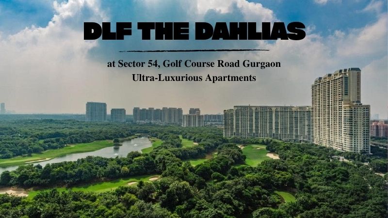 DLF The Dahlias – Experience Bespoke Living at Gurgaon