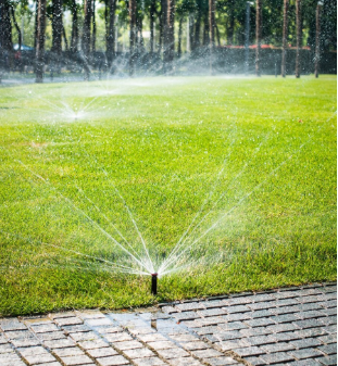 Crafting Outdoor Elegance: Expert Landscaping & Masonry Services for Every Season in Orange County
