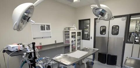 Avoid These Used Veterinary Equipment Buying Mistakes