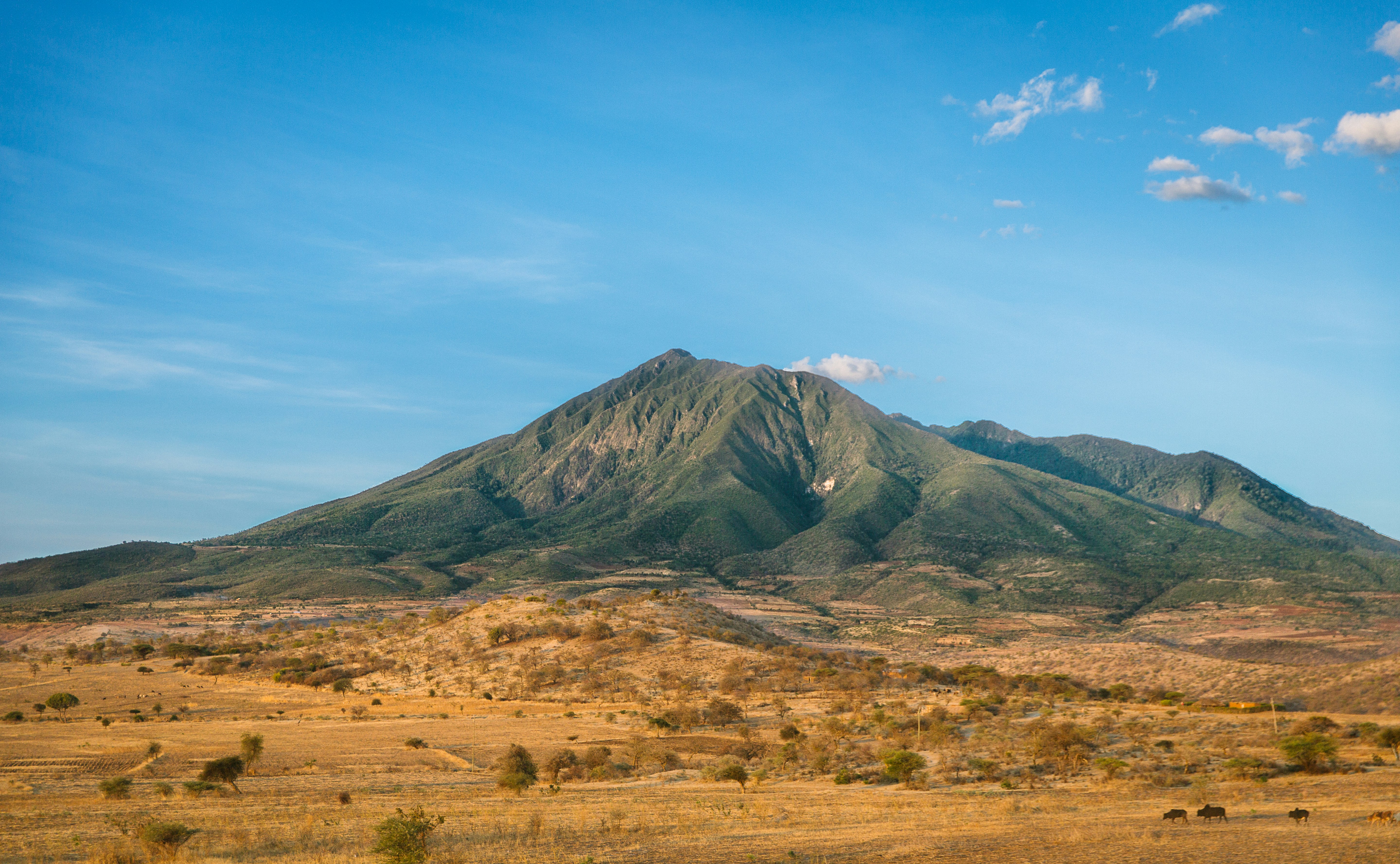 10 Best trails and hikes in Malaysia!