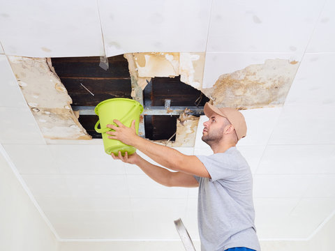 Where to Find Trusted Experts for Water Damage in Brooklyn
