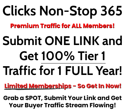 Clicks Non-Stop 365 Review – A Full Year of Tier 1 Traffic Without the Ongoing Cost