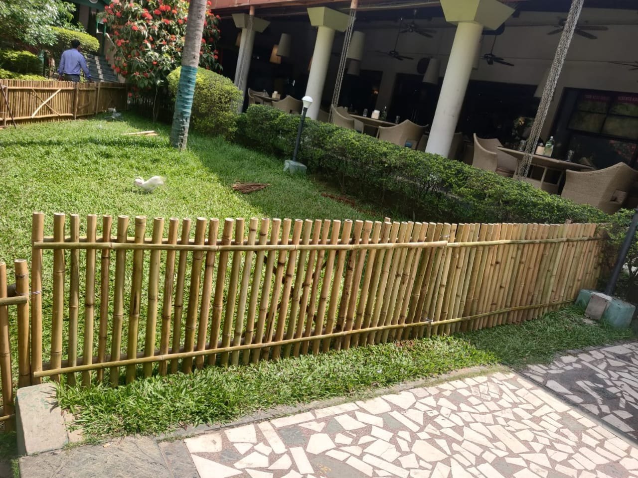 Bamboo Fencing Manufacturing Plant Setup Cost 2025: Capital Investments, and Business Plan