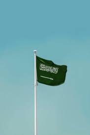 Your Complete Guide to the Saudi Arabia eVisa: A Seamless Travel Experience