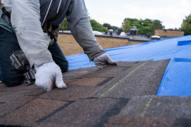 How Can A Roofing Contractor Help Spot Early Roof Leaks?