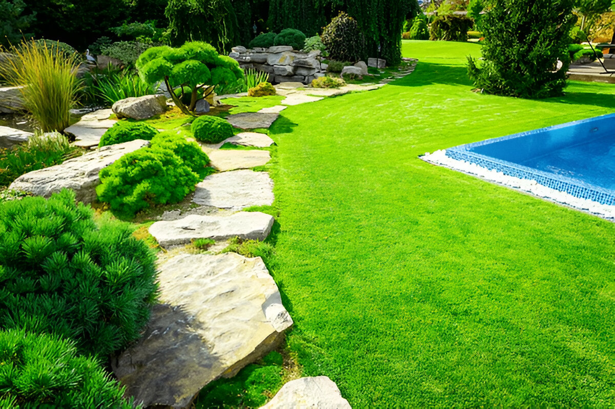 Common Lawn Issues That Will Need a Landscaper Immediately?