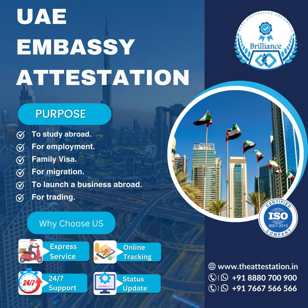 Everything You Need to Know About Business Document Embassy Attestation