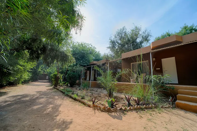 The Ultimate Ranthambore Camping Adventure — Stay at Tiger Machan