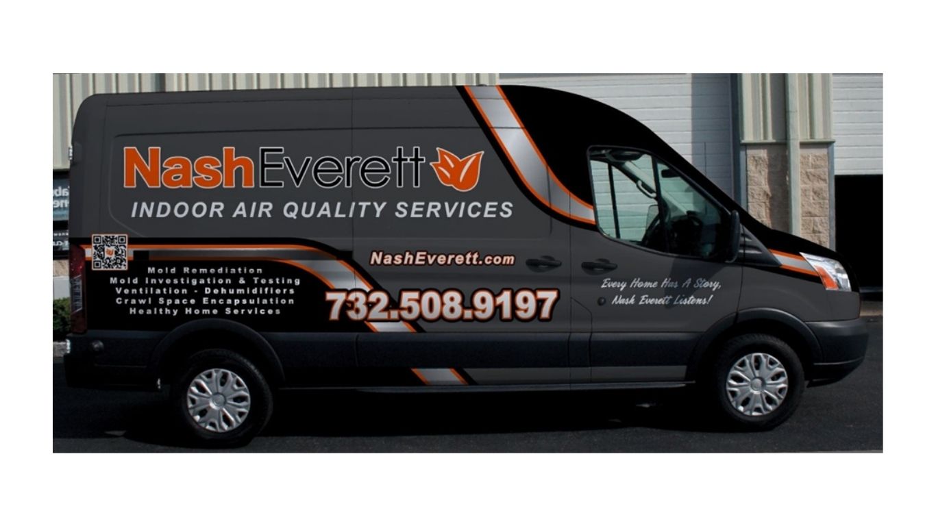 Black Mold Removal in Burlington: Ensure Your Home's Safety