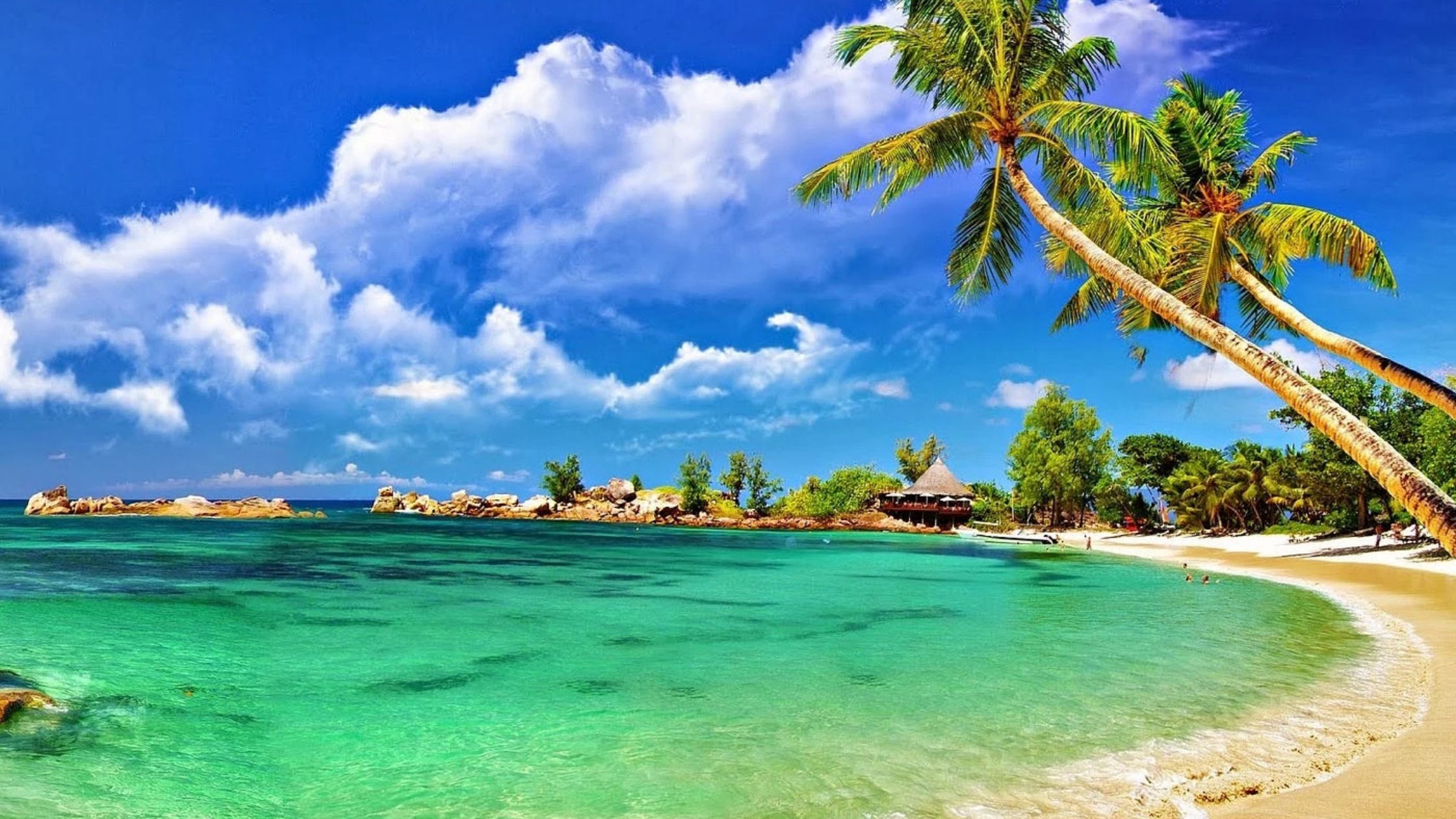 Top Beaches to Explore During Your Andaman Island Tour