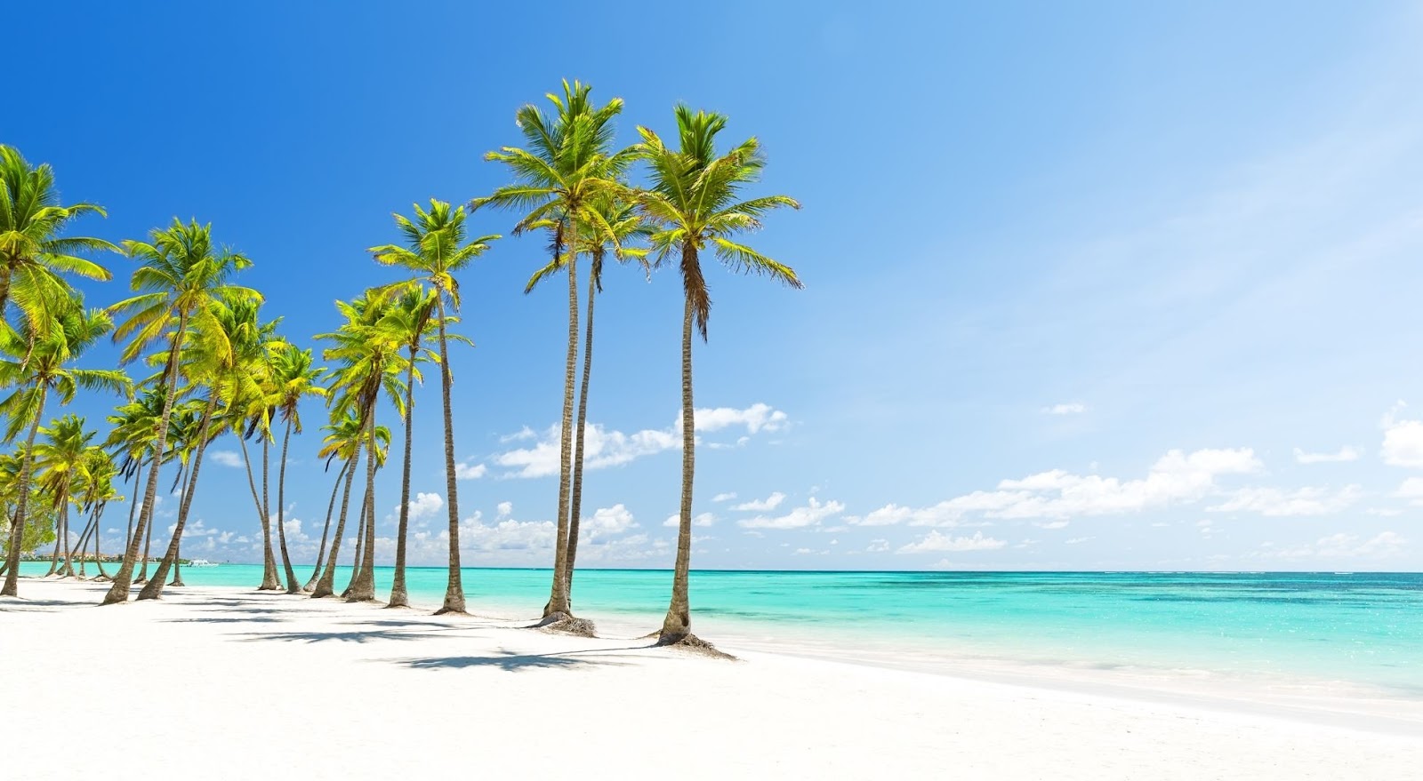Southwest Airlines Vacation Packages: Easy, Affordable, and Flexible Travel