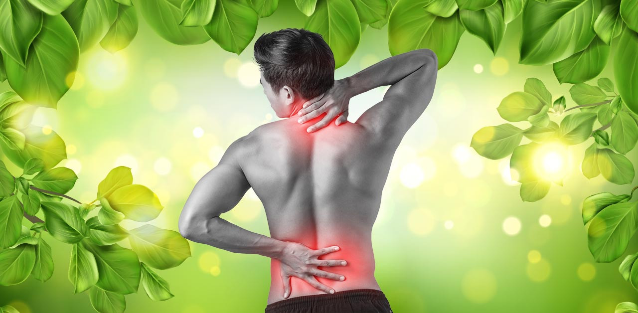 EFFECTIVE AYURVEDIC REMEDIES FOR BACK PAIN RELIEF