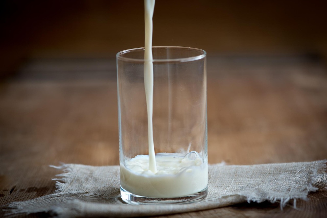 Build Your Milk Delivery Empire with the Right App