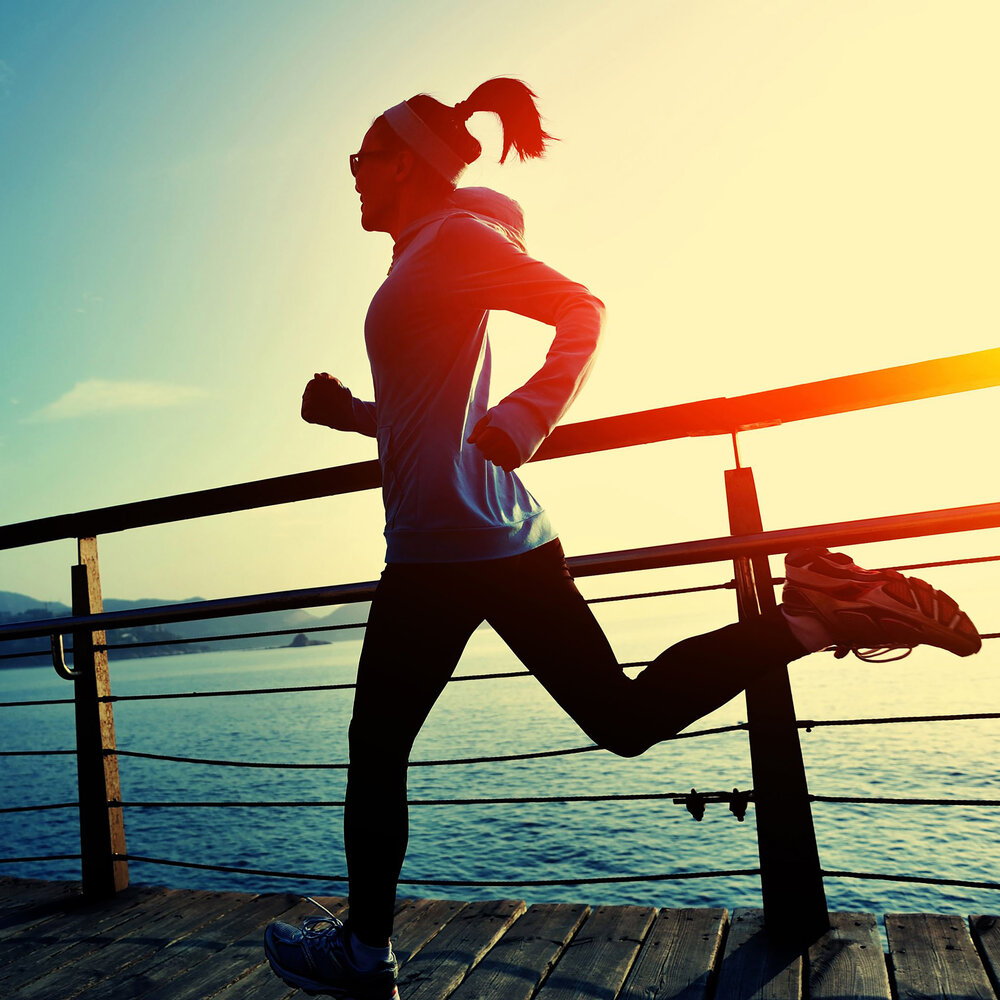 What Should a Beginner Woman’s Workout Plan Include?