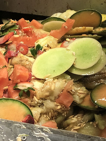 Stop Letting Your Food Waste Pile Up – Here’s What Actually Works