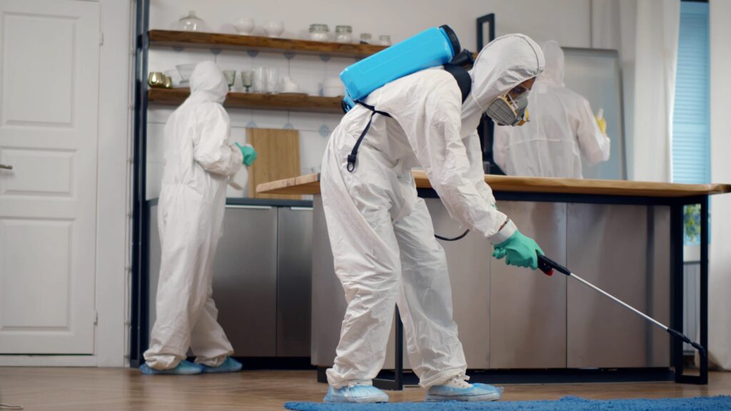 Top Pest Control in Toronto: A Guide to Safe & Humane Wildlife Removal