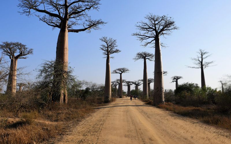 Why Madagascar Is a Photographer’s Paradise