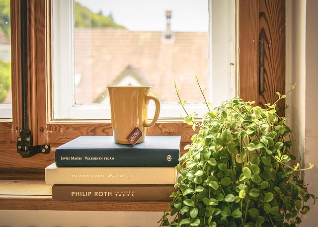 Easy Steps for Basic Wood Window Frame Repair