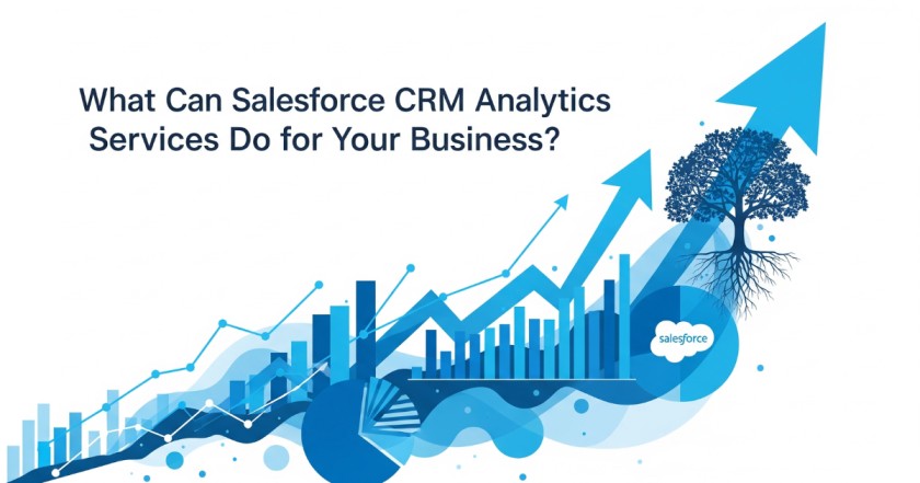 What Can Salesforce CRM Analytics Services Do for Your Business?