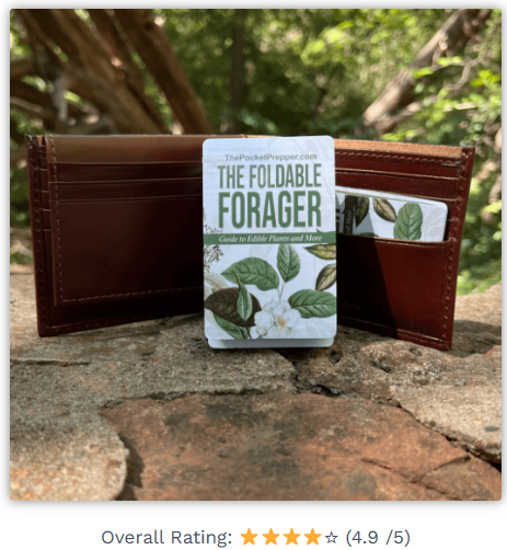 The Foldable Forager Review 2025 USA