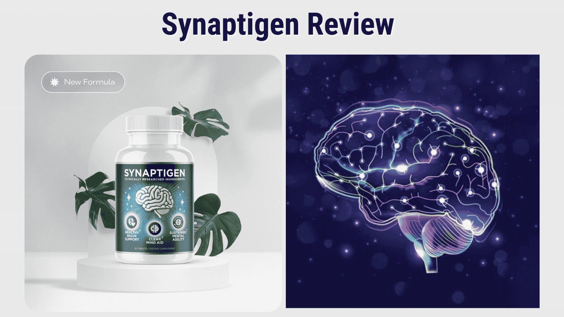 Synaptigen’s Secret Formula: Natural Ingredients That May Boost Brainpower