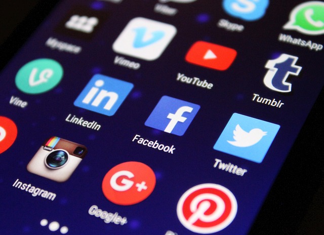 Harnessing Social Media for Brand Development