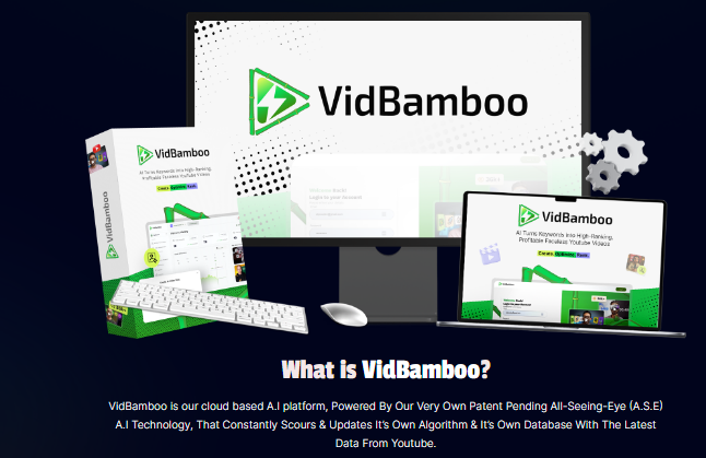 VidBamboo Review: Rank YouTube Videos on Page #1 Instantly!