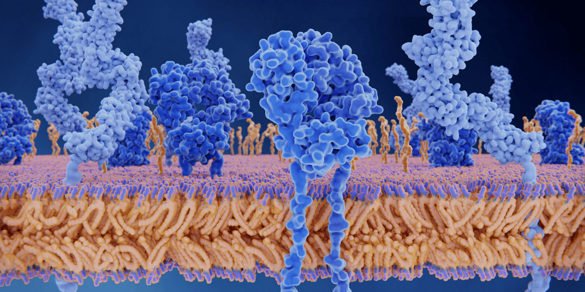 Peptides and Inflammatory Response: Advancing Innovative Research