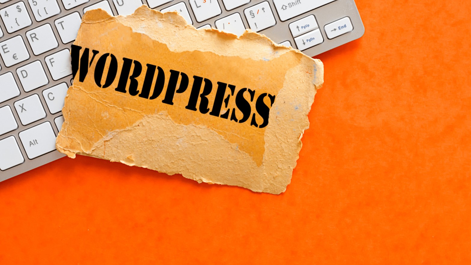 The Future of WordPress Development: Trends That Will Define 2025