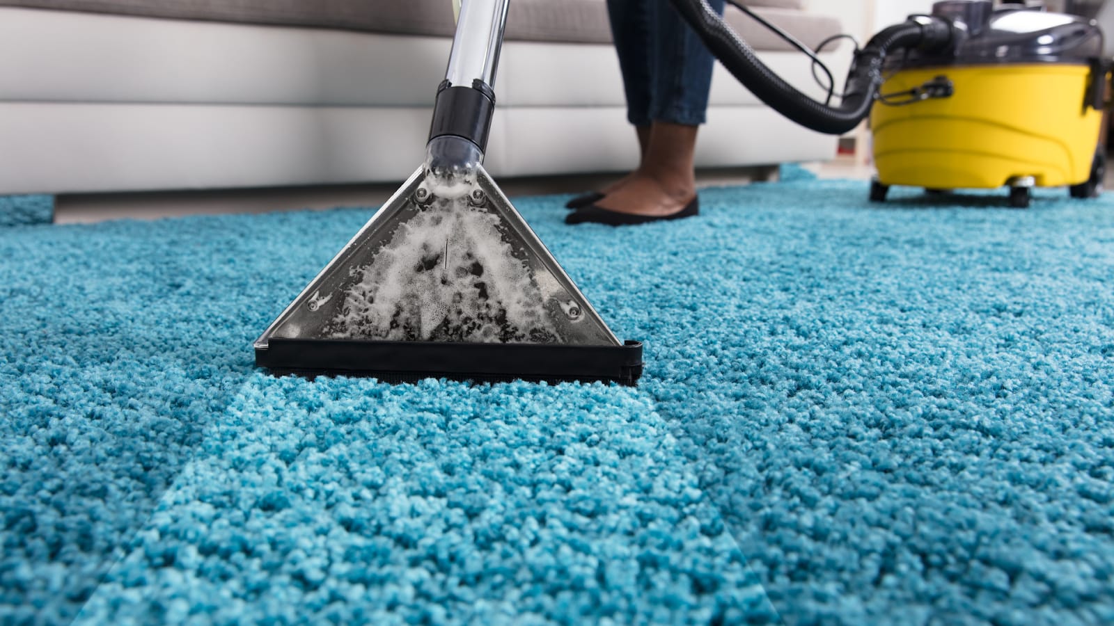 The Science Behind Effective Carpet Cleaning Methods