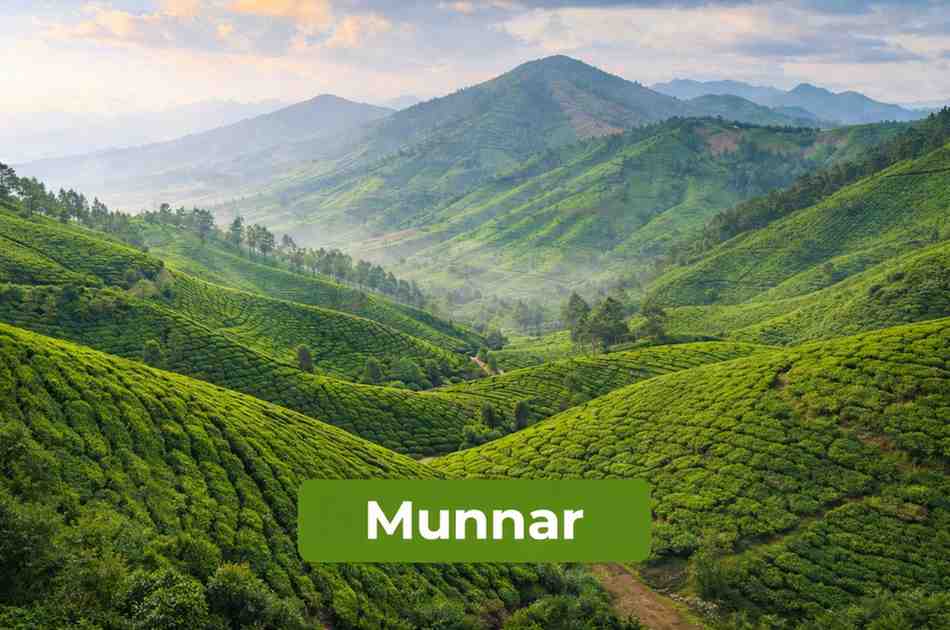 Best Luxury Resorts in Munnar: what defines Top-Tier Stays