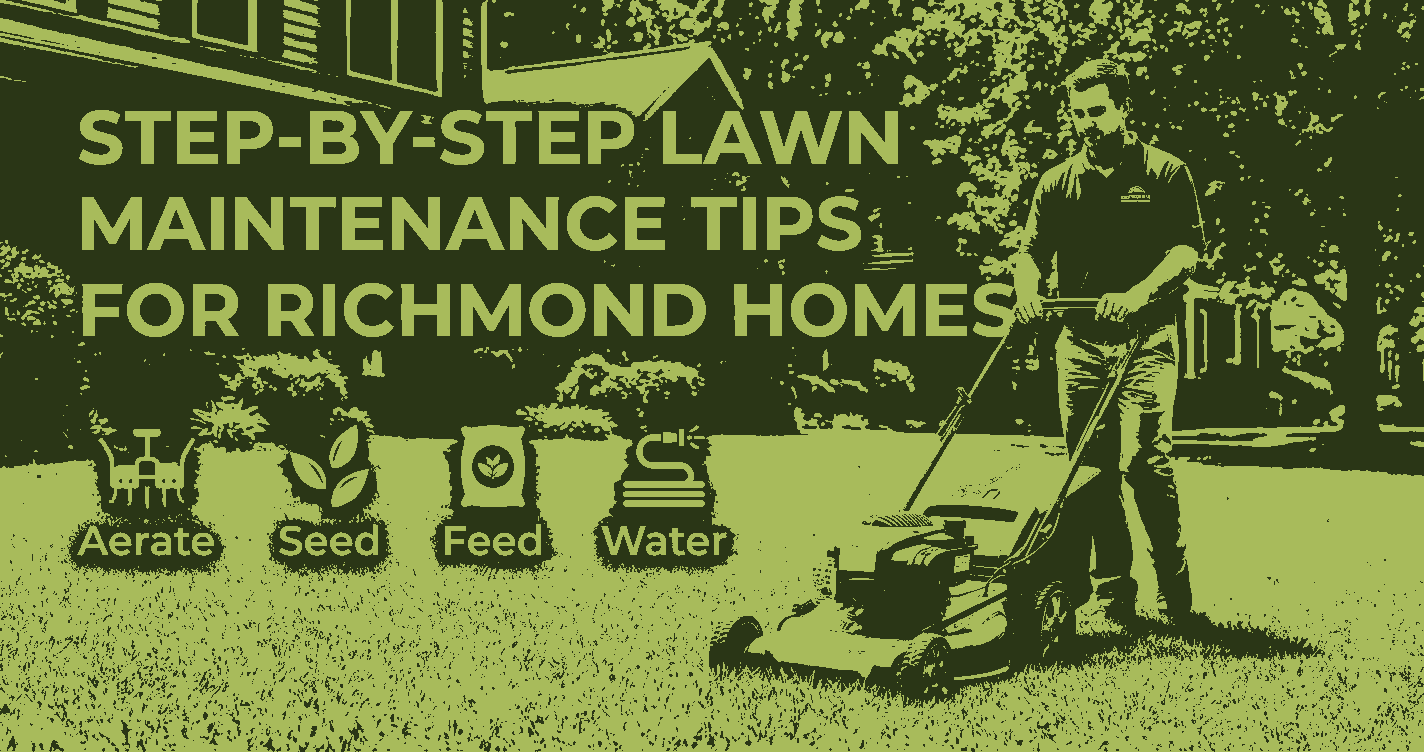 Step-by-Step Lawn Maintenance Tips for Richmond Homes