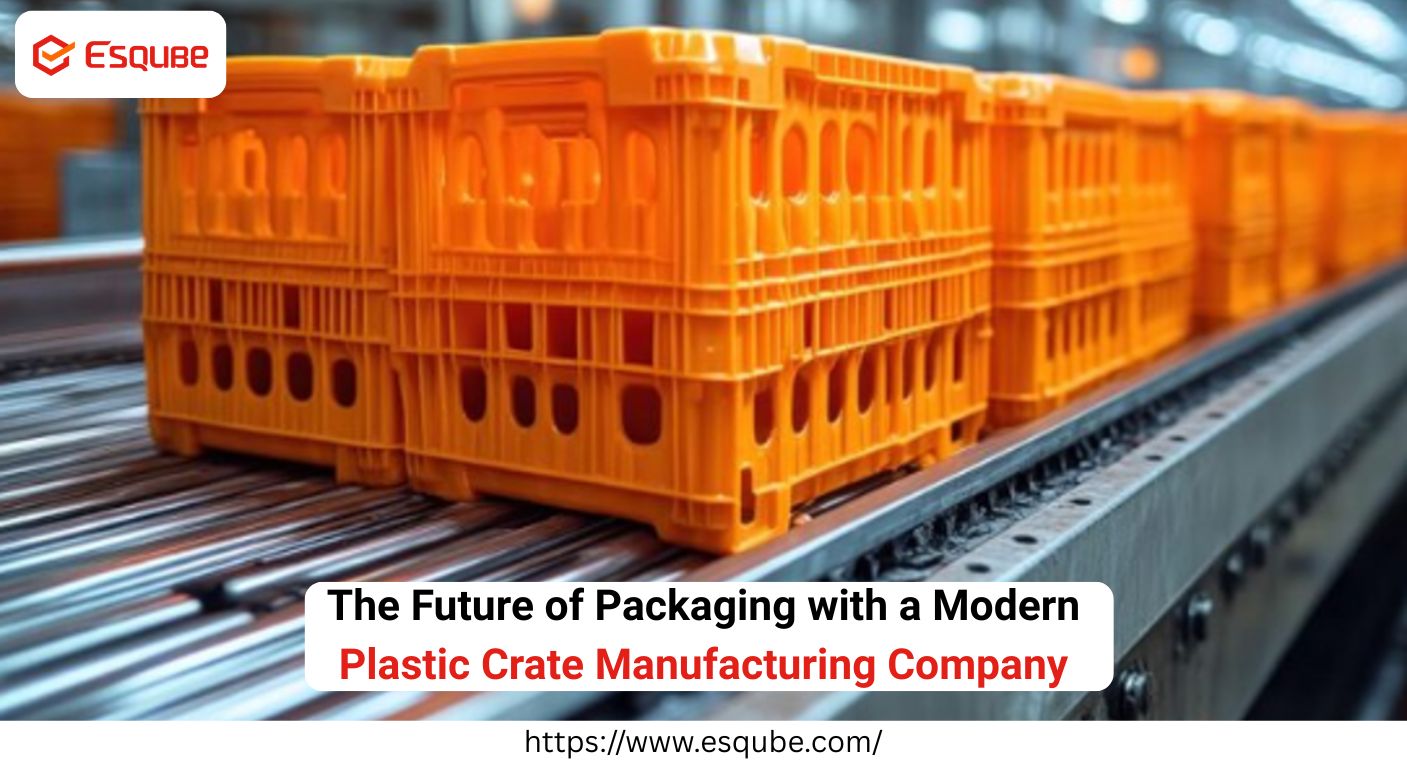 Why Businesses Choose Esqube for Plastic Storage Solutions