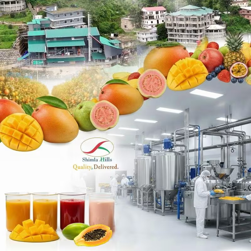 Understanding the Role of Fruit Pulp in the Global Food Processing Industry