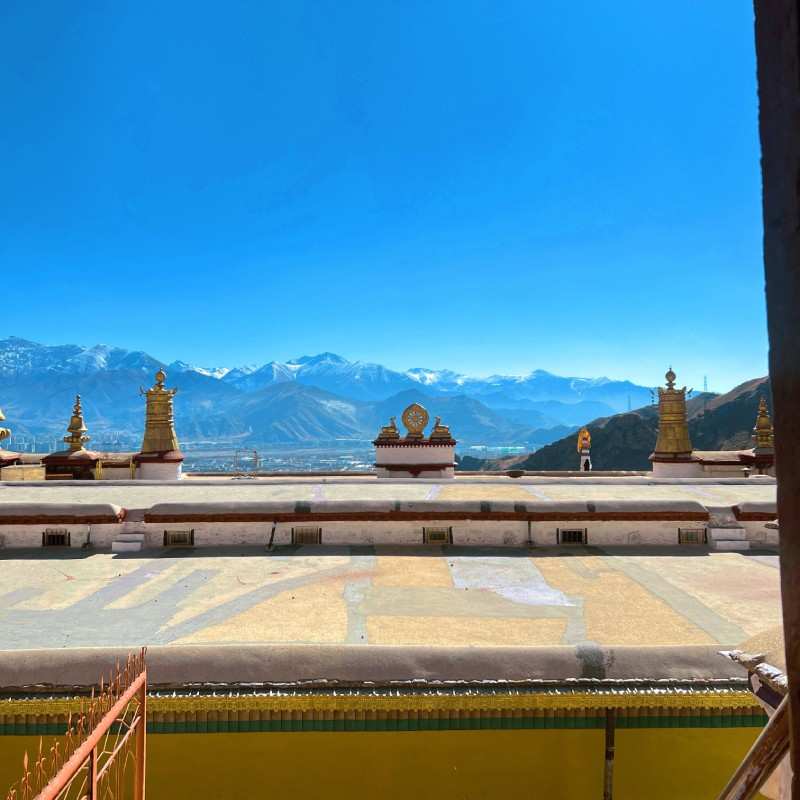 Tenzin Travel & Tours: A Trusted Tibetan Travel Agency