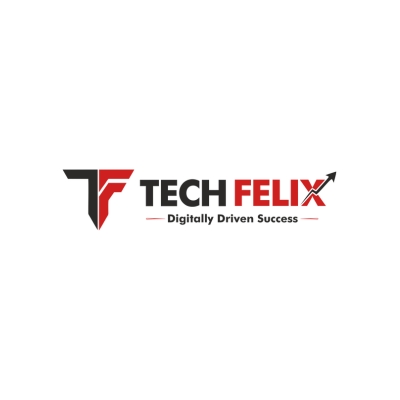 Tech Felix: Your Growth-Focused SEO Company in India