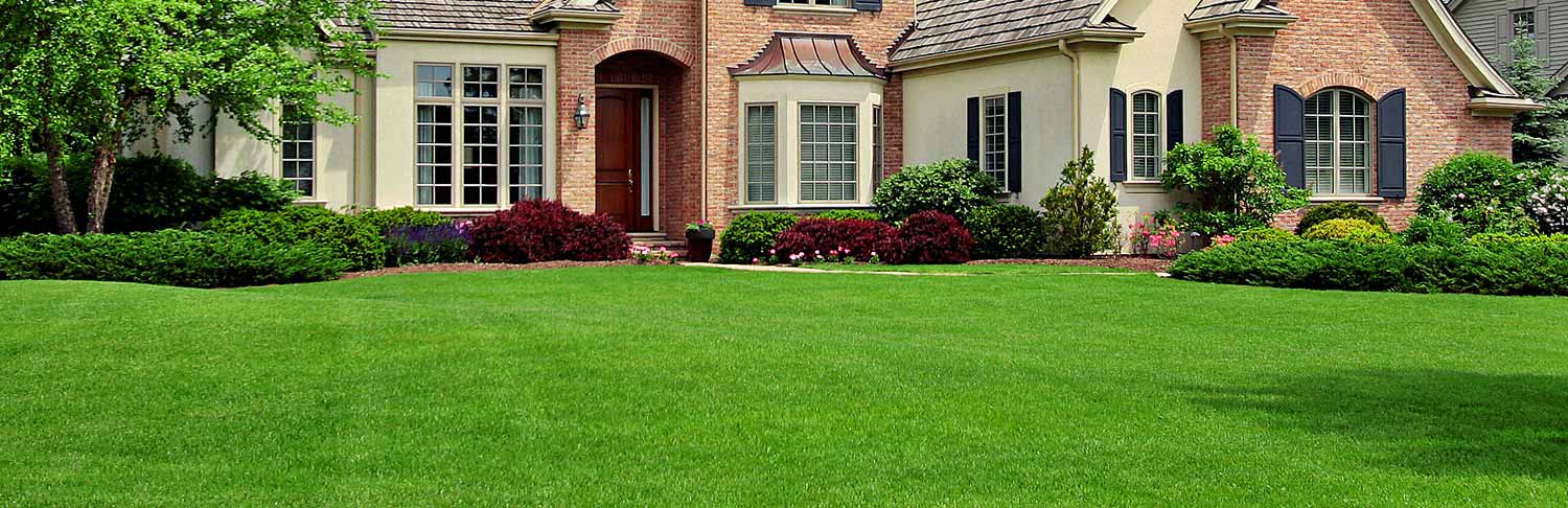 Why Choose Zeppas in Louisville, KY?