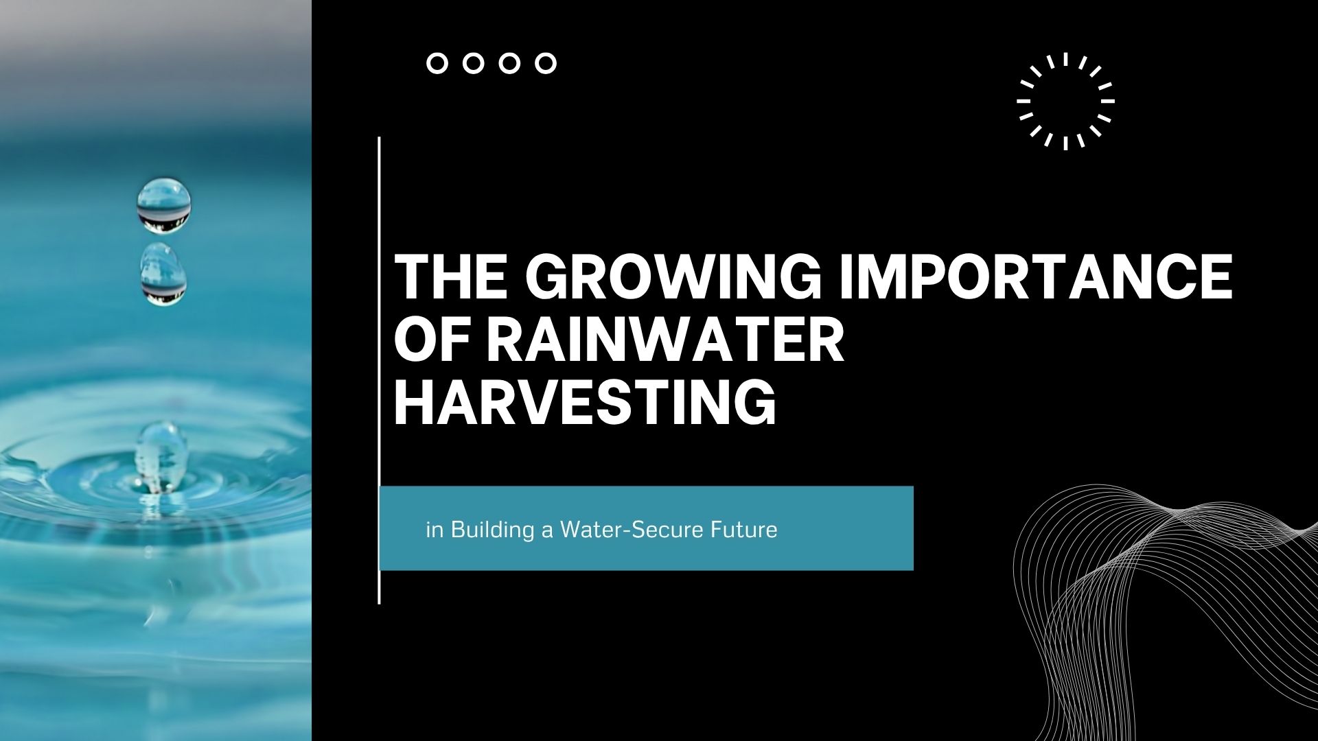 The Growing Importance of Rainwater Harvesting in Building a Water-Secure Future
