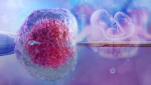 What Diminished Ovarian Reserve Really Means for Your Fertility Treatment