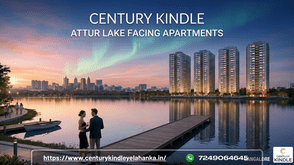 How many phases does Century Kindle have?