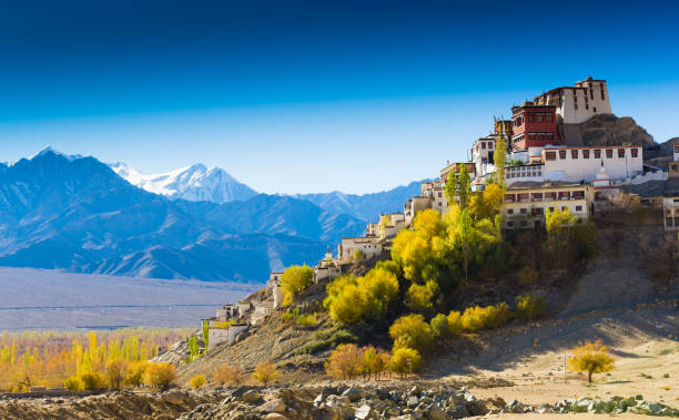 Famous Monasteries in Ladakh You Shouldn’t Miss