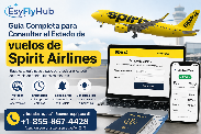Guía Completa para Consultar el Estado de vuelos de Spirit Airlines