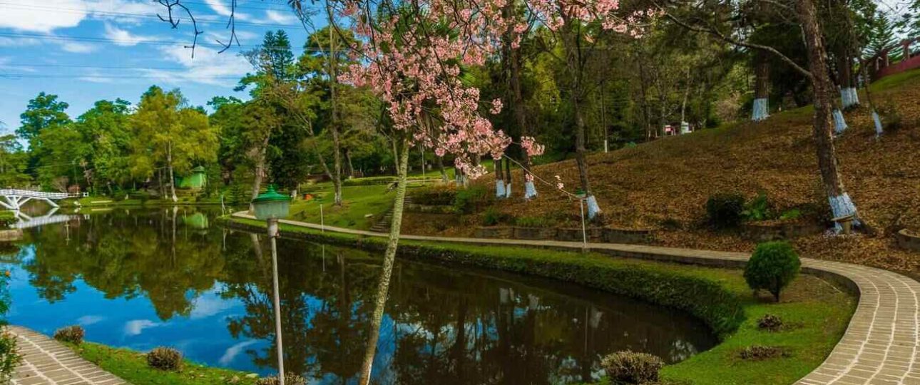 Best Time to Visit Meghalaya: A Month-by-Month Guide