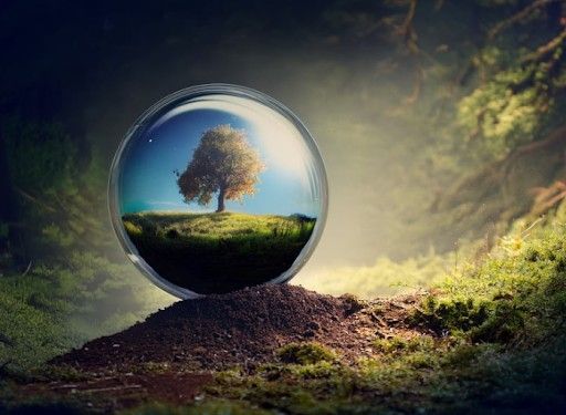 Decoding Environmental Product Declarations: What They Mean for Manufacturers and Buyers