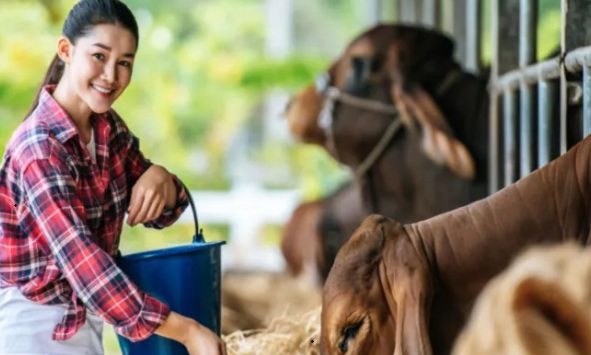 Why Choose a Level 5 Animal Care Course?