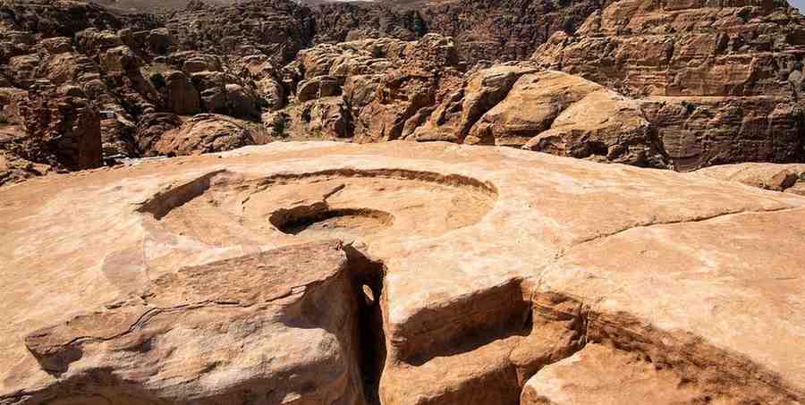 Unveiling the Underground: The Enigma of Drain Fields