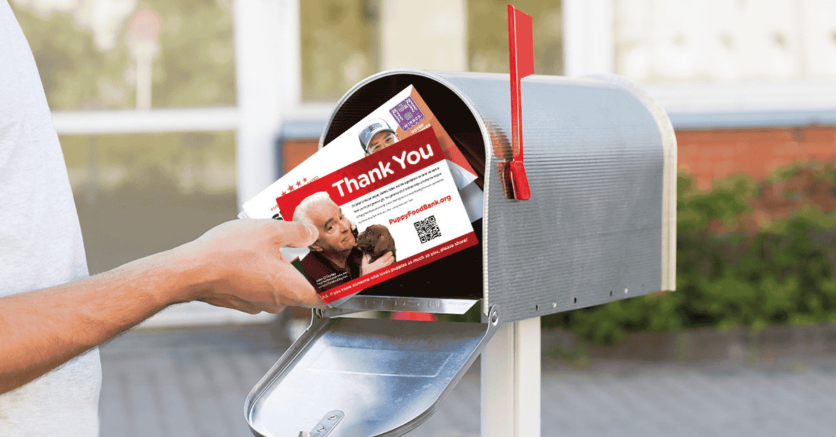 How Personalization Is Transforming Direct Mail Marketing