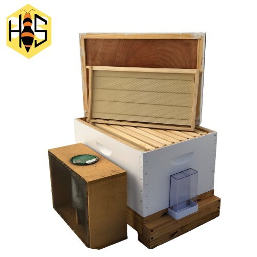 Bee Hive Starter Kit Australia | Order Bee Box Kits Online