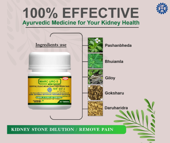 Best Ayurvedic Medicine for Kidney Stone – Natural Kidney Stone Treatment with Marc URO 5