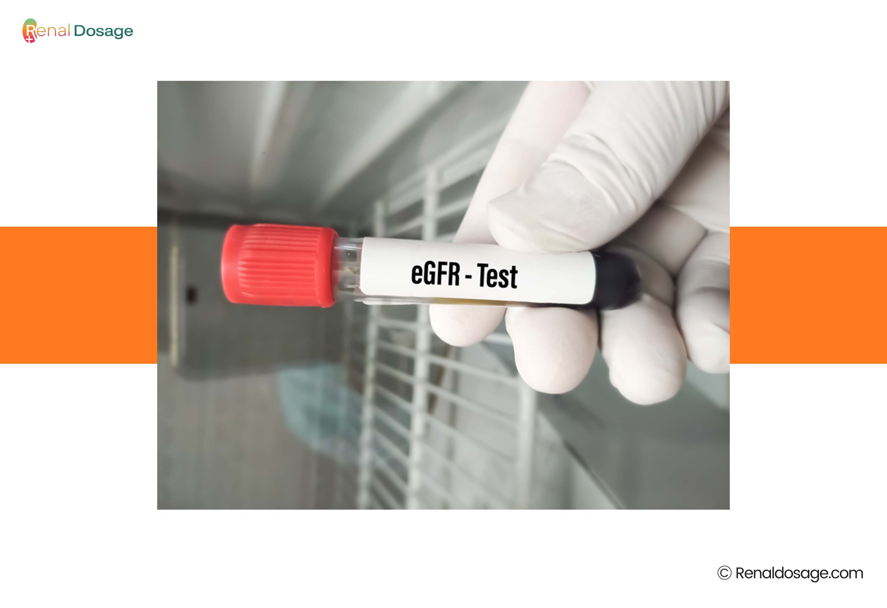 How to Use Renal Dosage Calculator?